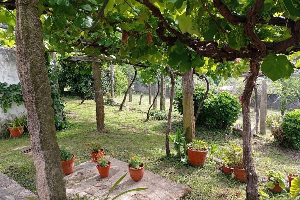 فيلا A Barraca. Casa Con Jardin Y Vistas A La Ria بْويوْ المظهر الخارجي الصورة